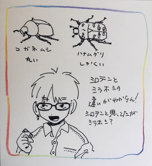 ハナムグリ難しい これはシラホシか? 