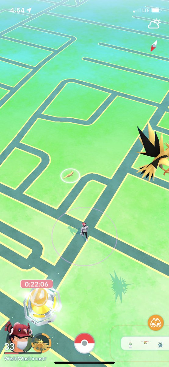 AngelHe52067906's tweet photo. @PokemonGoApp This yungoose has been there for a week now https://t.co/pBe4Sy9U3m