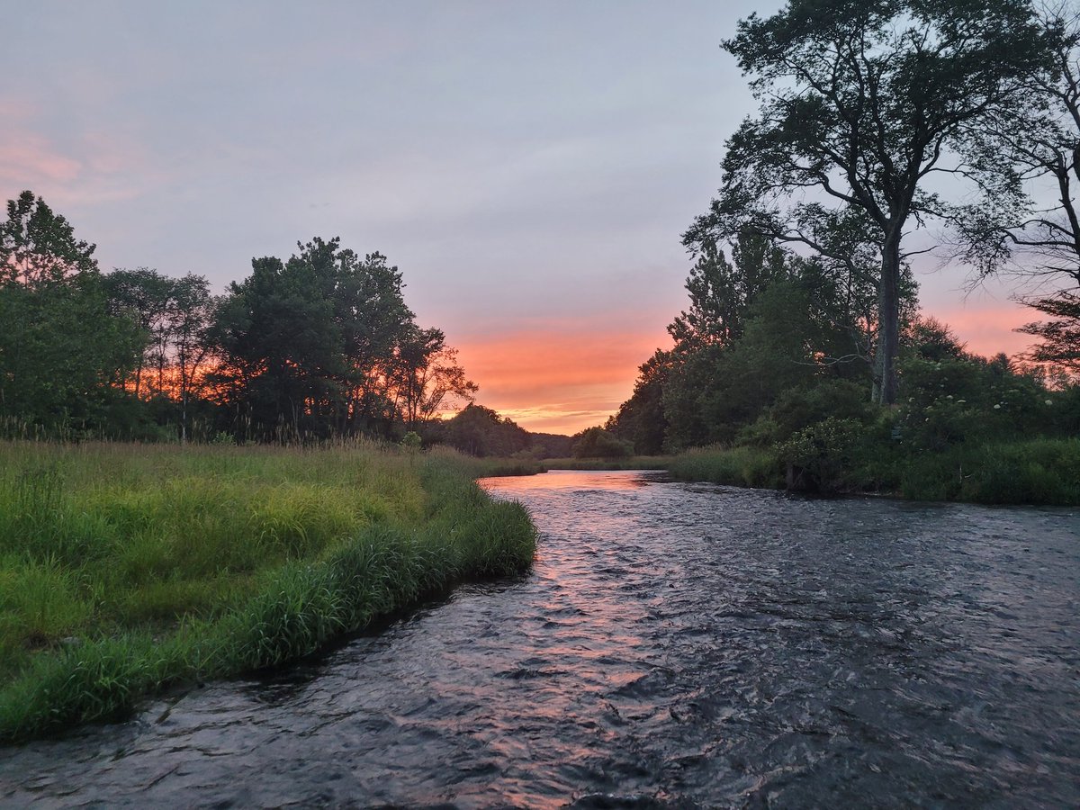WilliamSwiac's tweet photo. 1 of my many #happyplaces
#Catskills #troufishing #onthefly https://t.co/hp2C1OEtO7
