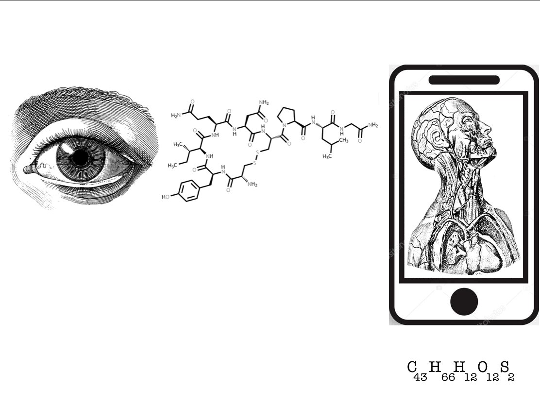 felipunk1's tweet photo. Produces synthetic endorphins.
Produce  endorfinas sintéticas. 
 #posthumanism #digitalshamanism https://t.co/u6TGEJF6PV