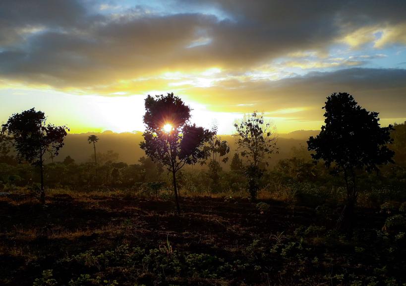 Waone Orchid (@orchidwaone) on Twitter photo Sunrise di kawasan goa rancang kencana pagi tadi
<a href="/BerandaJogja/">Beranda Jogja</a> <a href="/JogjaUpdate/">jogjaupdate.com</a> <a href="/JogjaPict/">Jogja Picture</a> @KabarGunkid <a href="/tribunjogja/">Tribun Jogja</a> Sunrise di kawasan goa rancang kencana pagi tadi
<a href="/BerandaJogja/">Beranda Jogja</a> <a href="/JogjaUpdate/">jogjaupdate.com</a> <a href="/JogjaPict/">Jogja Picture</a> @KabarGunkid <a href="/tribunjogja/">Tribun Jogja</a>