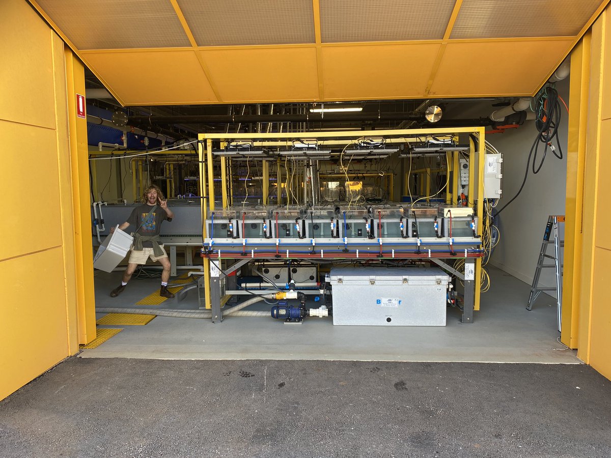 Luke Thomas tweet media