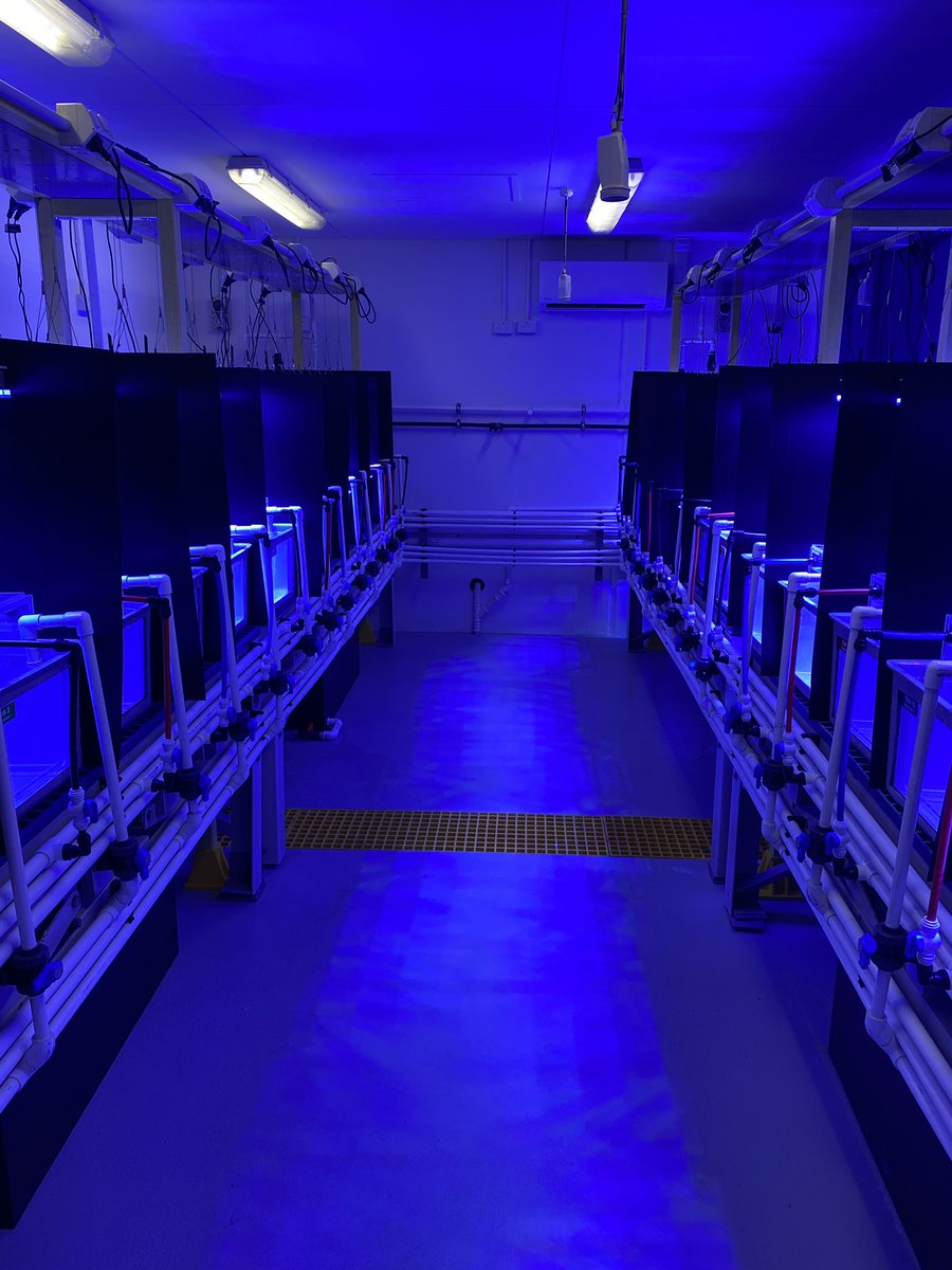 Luke Thomas tweet media