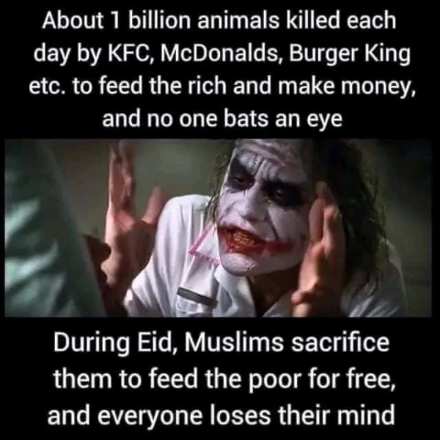 ZAID SHAIKH tweet media
