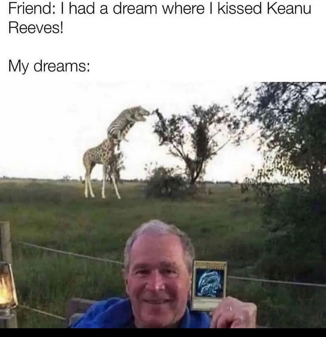 all dreams have meanings