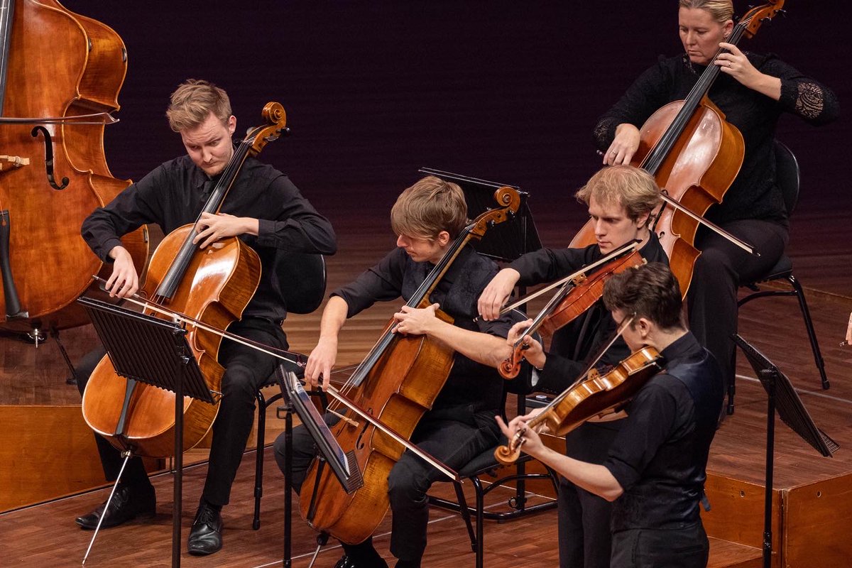 Camerata – Queensland’s Chamber Orchestra tweet media