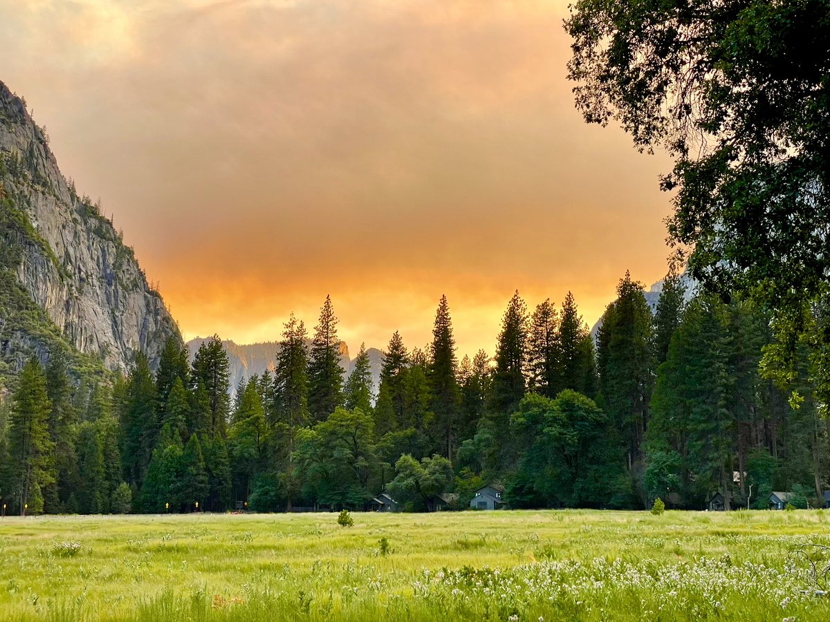 Rajiv Chandrasekaran tweet media