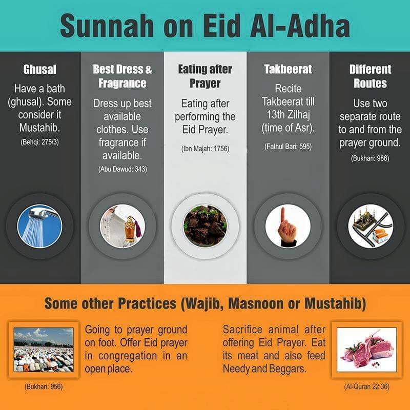 7signxx's tweet image. Sunnah on #EidAlAdha