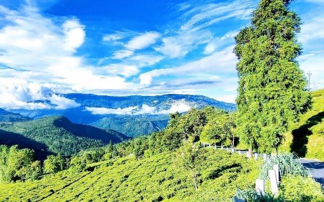 Backpackersofc's tweet photo. 𝐁𝐮𝐧𝐤𝐮𝐥𝐮𝐧𝐠

Adjacent to Mirik and Darjeeling, Bunkulung is a newfound Offbeat Destination. 
Dotted with lush subalpine forest, orange orchards, many vast stretches of tea gardens and the shimmering Balason River passing through it.  

+ thread 

#বঙ্গজ 
#BeautifulBengal https://t.co/5U7C33Cgcs
