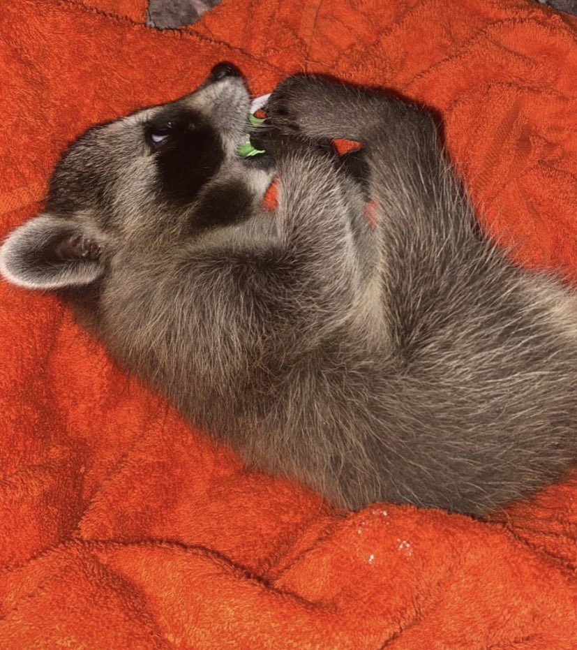 faetful's tweet image. ❤️😊