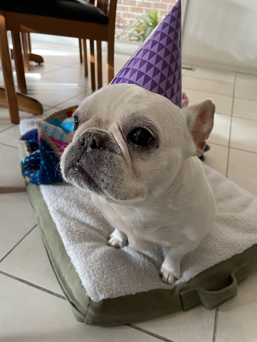 Marie Ng 🦙 tweet media