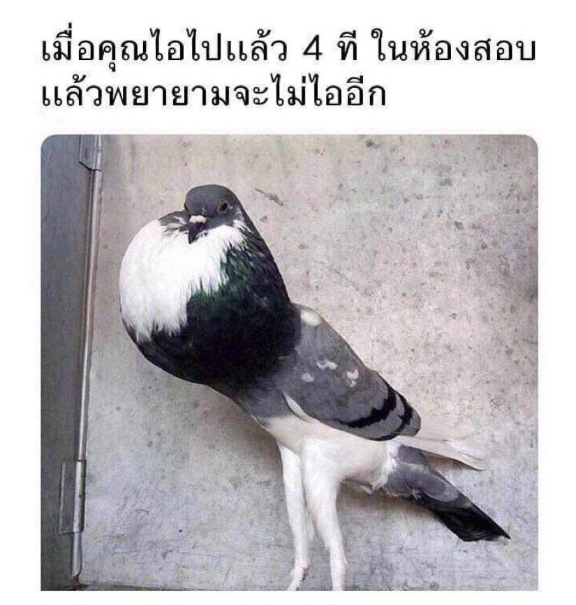 moon . tweet media