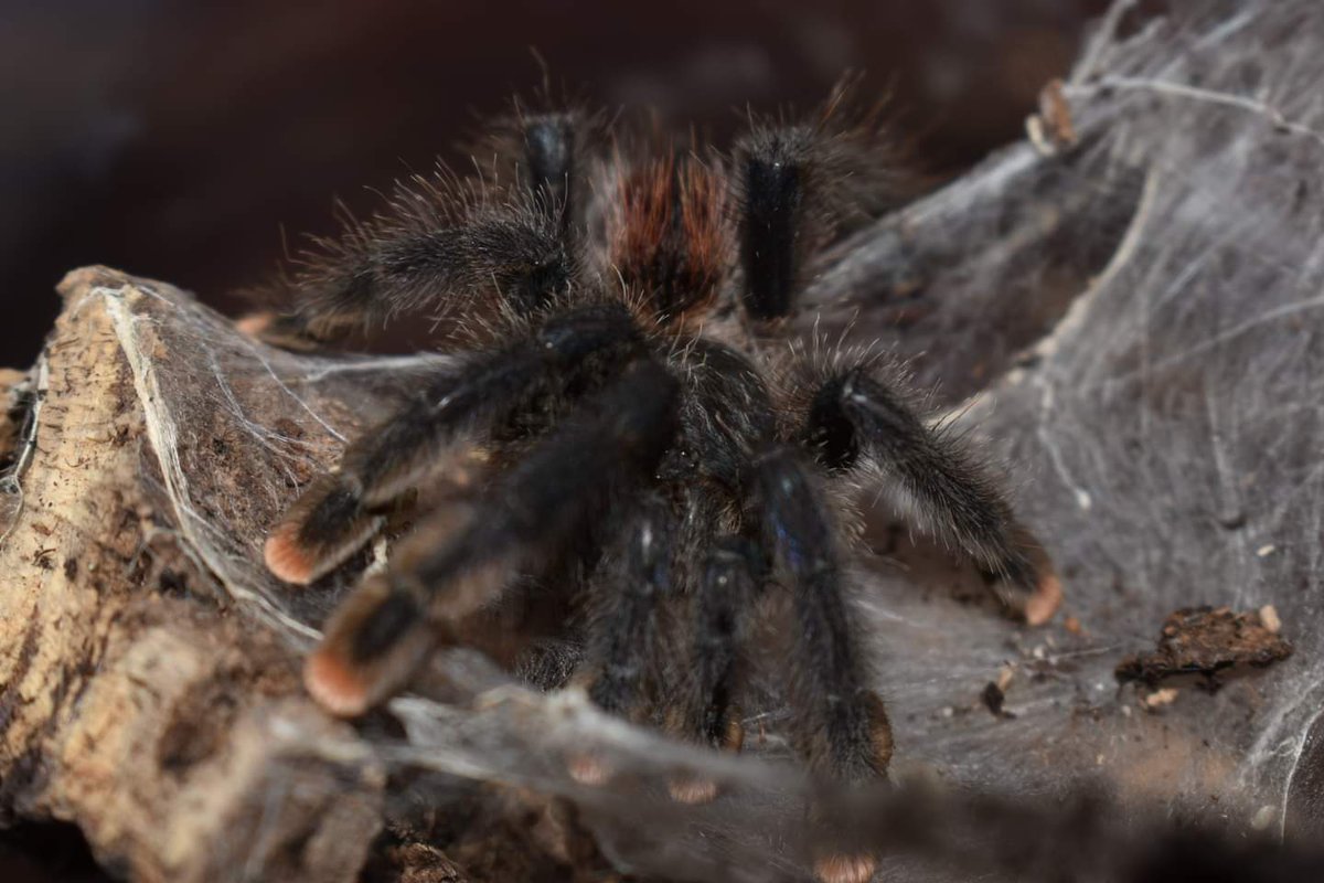 Backpacking Atheist 🏳️‍🌈 tweet media