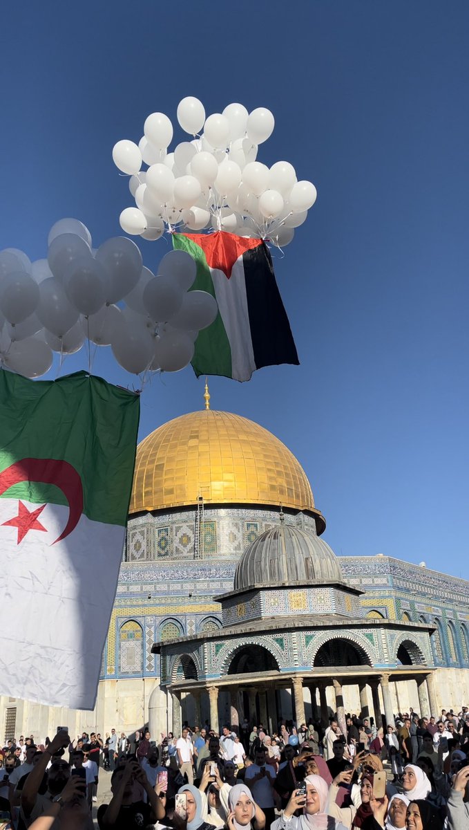 The Palestine and Algeria flag fly high over Al Quds today 🤍