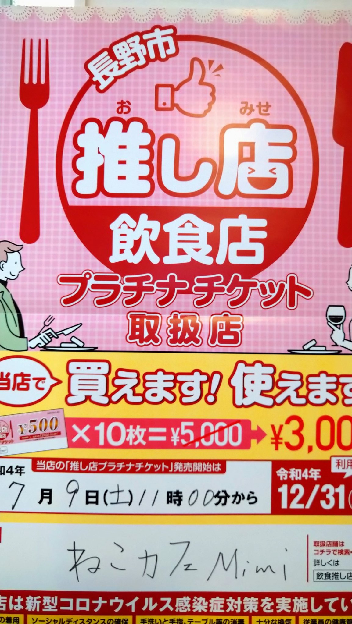 ねこカフェmimi ミミ 長野にある猫カフェ 子猫のへや
