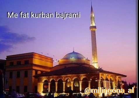milingona_al's tweet photo. Thuaj: Namazi im, kurbani im, jeta ime dhe vdekja ime, janë thjesht për Allahun, Zotin e botëve.
Ai nuk ka shok. Me këtë (thjeshtësi) jam i urdhëruar dhe unë jam i pari i muslimanëve. ~ Kur'an, 6:162-163 https://t.co/2tv8nZSwnI