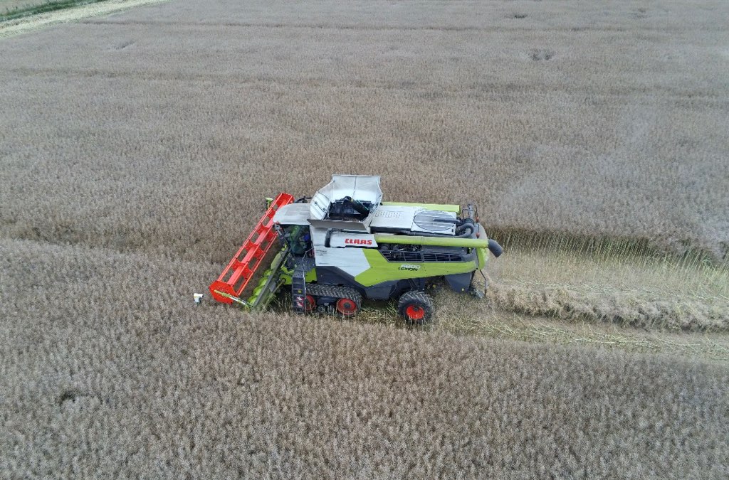 Dahirel Ludovic tweet media