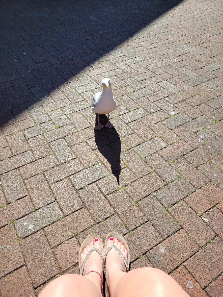 Someone is watching me