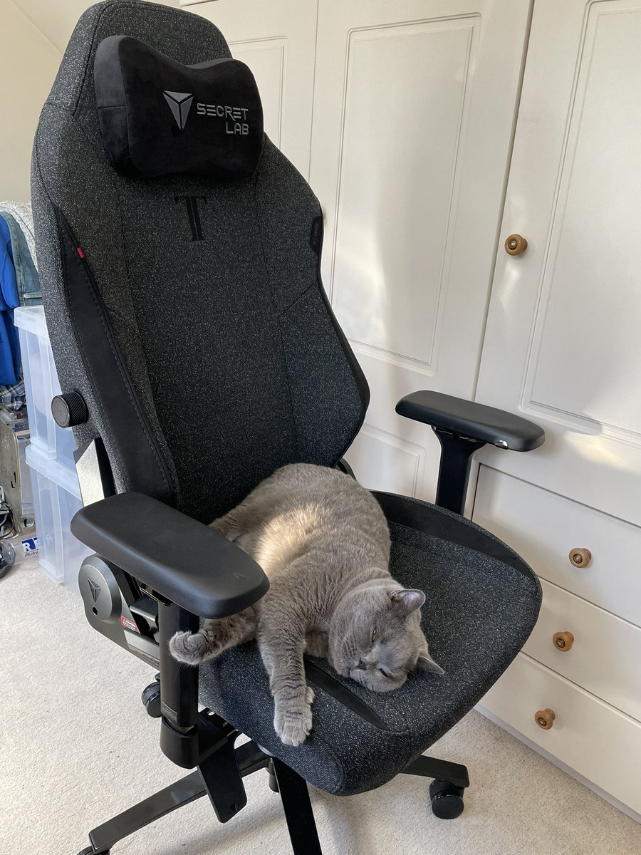 New chair day! But the cat gets first dibs on it… #secretlab <a href="/secretlabchairs/">Secretlab</a>