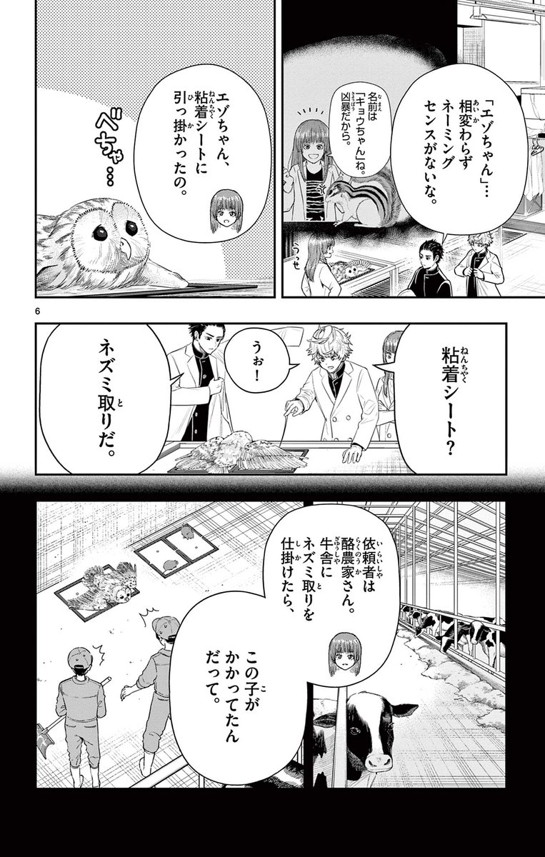 フクロウをネズミ取りから助ける話。🦉
2/7
#漫画が読めるハッシュタグ 
#エゾフクロウ 