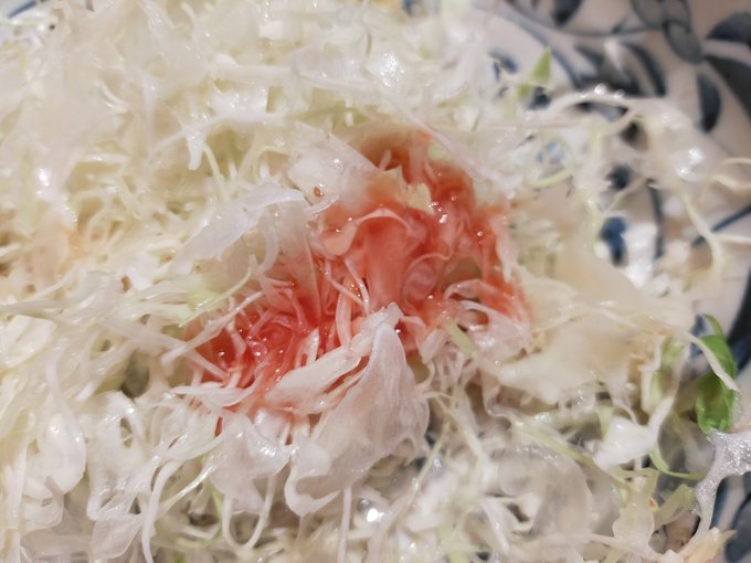 幽香ちゃんにブラッドオレンジのドレッシングをかけたところ( 