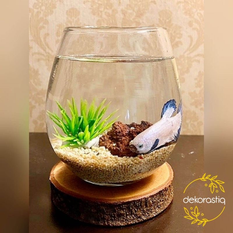 🟣🟣Rekomendasi Aquarium Unik🟣🟣

                          ⬇️A Thread⬇️