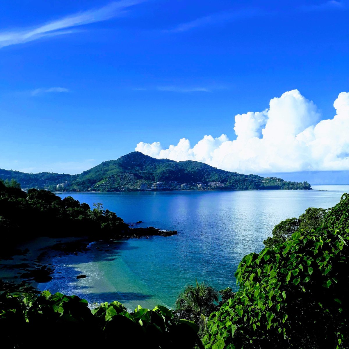 Want to dive a lot and want to learn a lot?
Come and join us for 3 months for the season 2022 / 2023. Our program is suitable for total beginners and for certified divers to become a dive professional.
For more email: info@phuket-diving-thailand.net