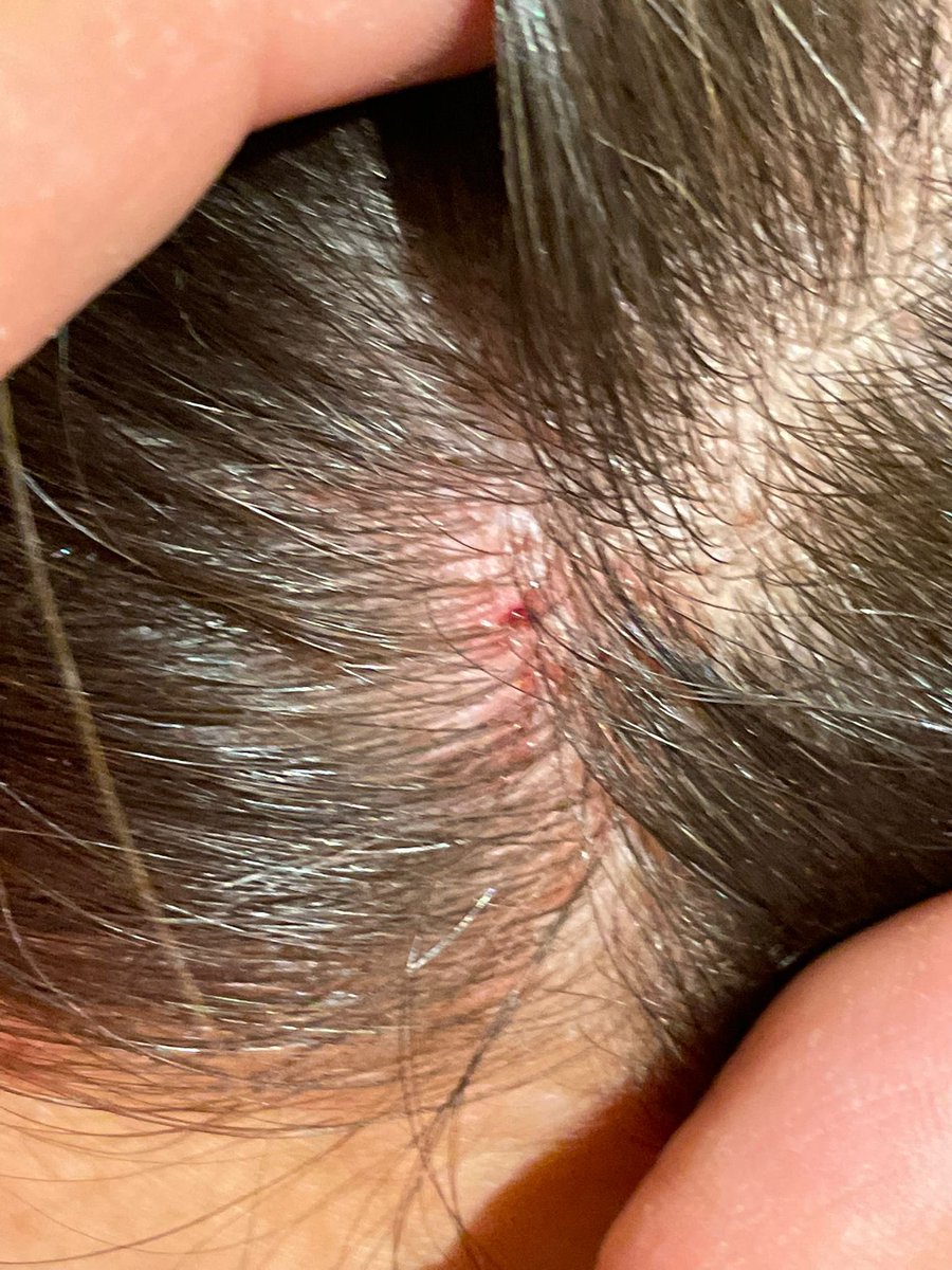 Nadiolas tweet media