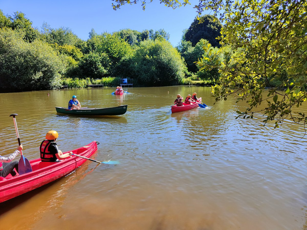 @WideyHeron tweet media