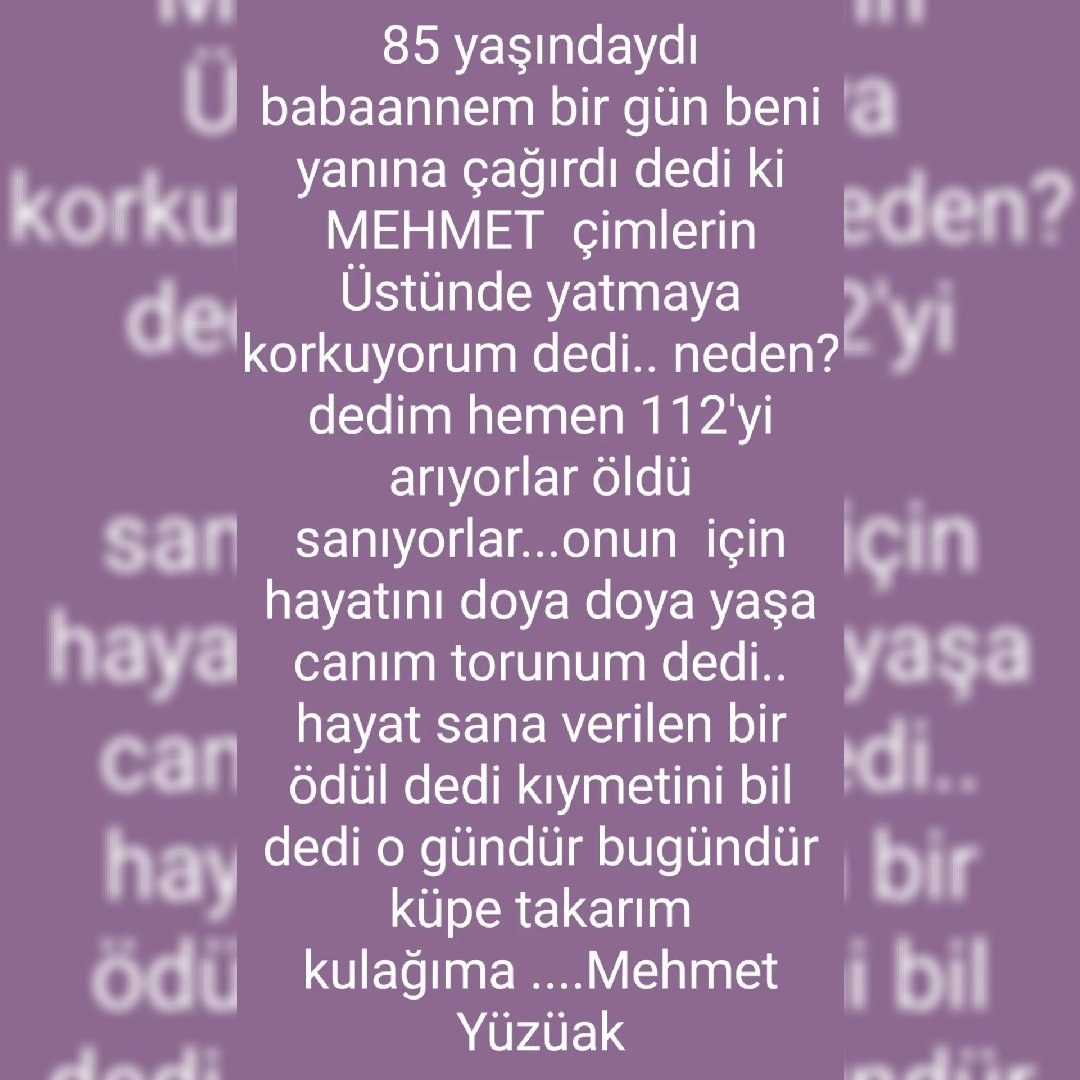 Mehmet Yüzüak (@mehmetyuzuak1) on Twitter photo 