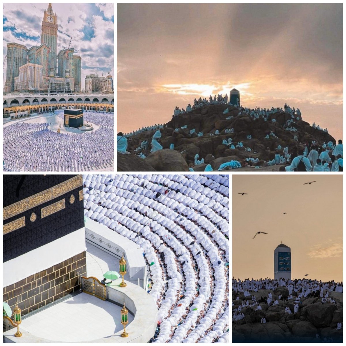 HafizSinan_'s tweet photo. #HajjMubarak2022 #Hajj2022 #Hajj1443 #HajjeAkbar #HajjShowsMuslimUnity #Hajj22 https://t.co/fN857WW0vF