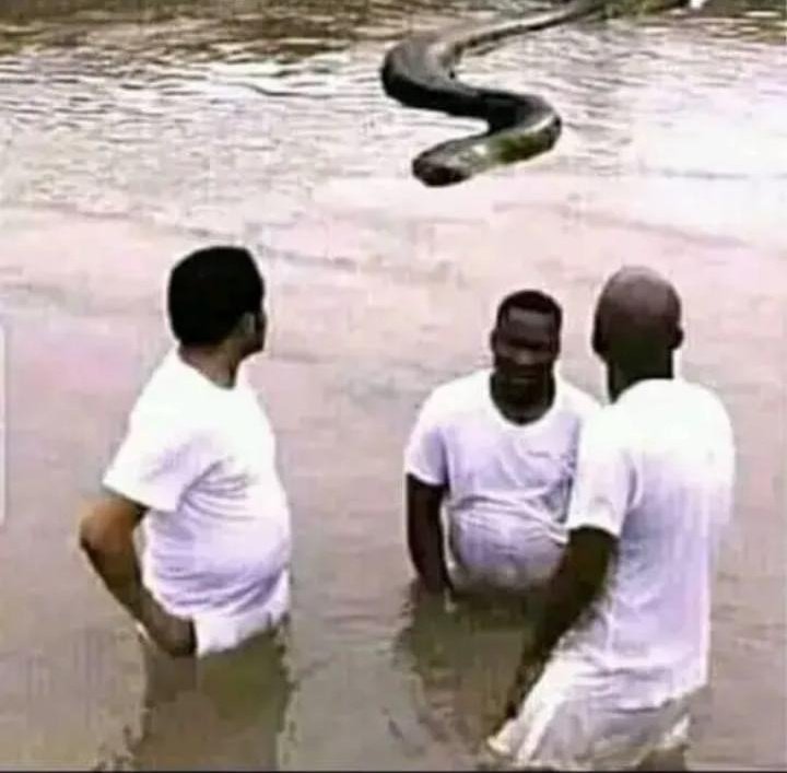 Mr Smeg Zim tweet media