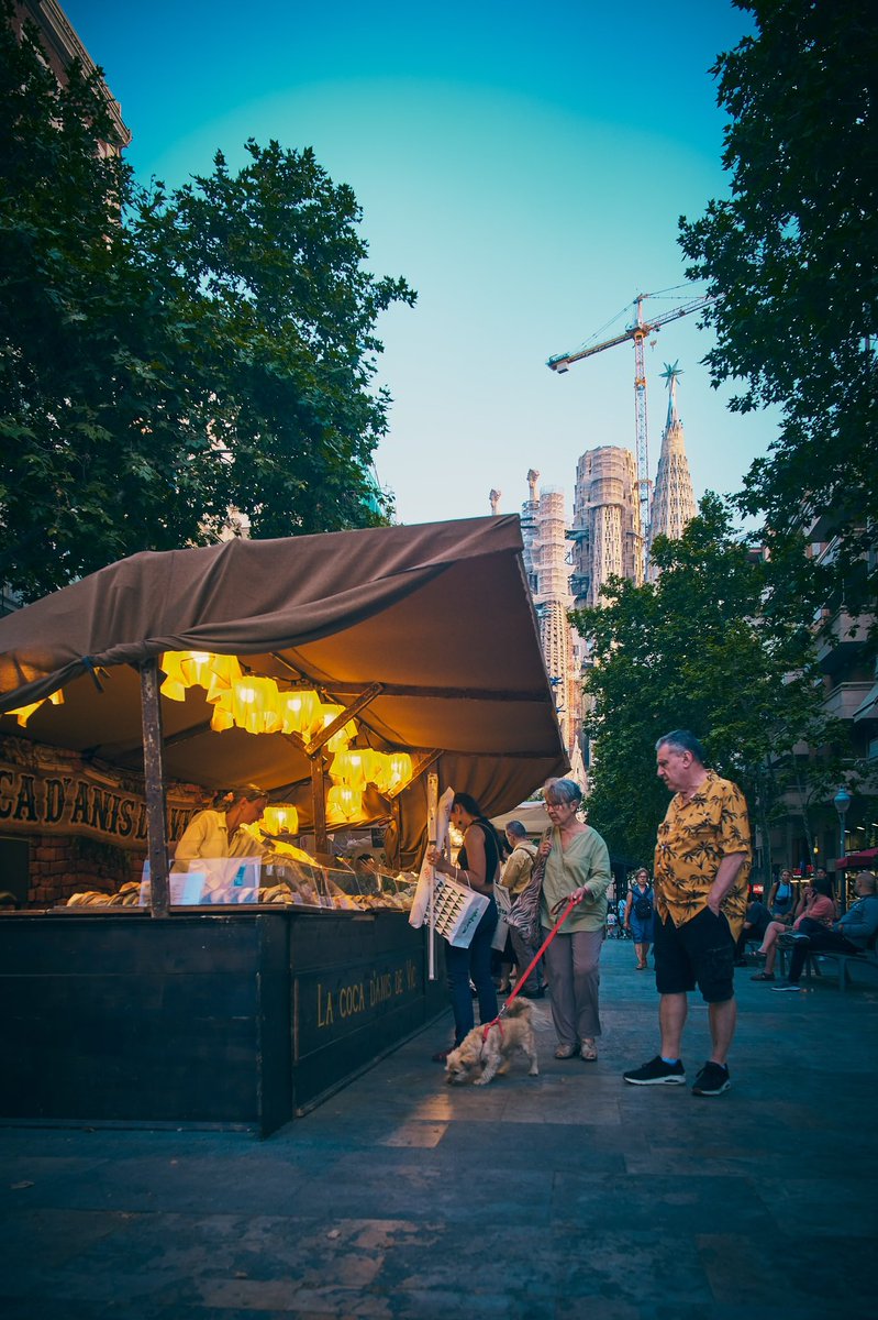 Craft street market

📸 Fujifilm X-T4

📷 Fujinon XF 16-55mm F2.8 R LM WR

⚙️ Distance 16.0 mm - ISO 160 - f/4.0 - Shutter 1/125

#barcelona #city #street #bakery #craft #craftmarket #streetmarket #streetphotography #urbanphotography #sagradafamilia #architecture #photography