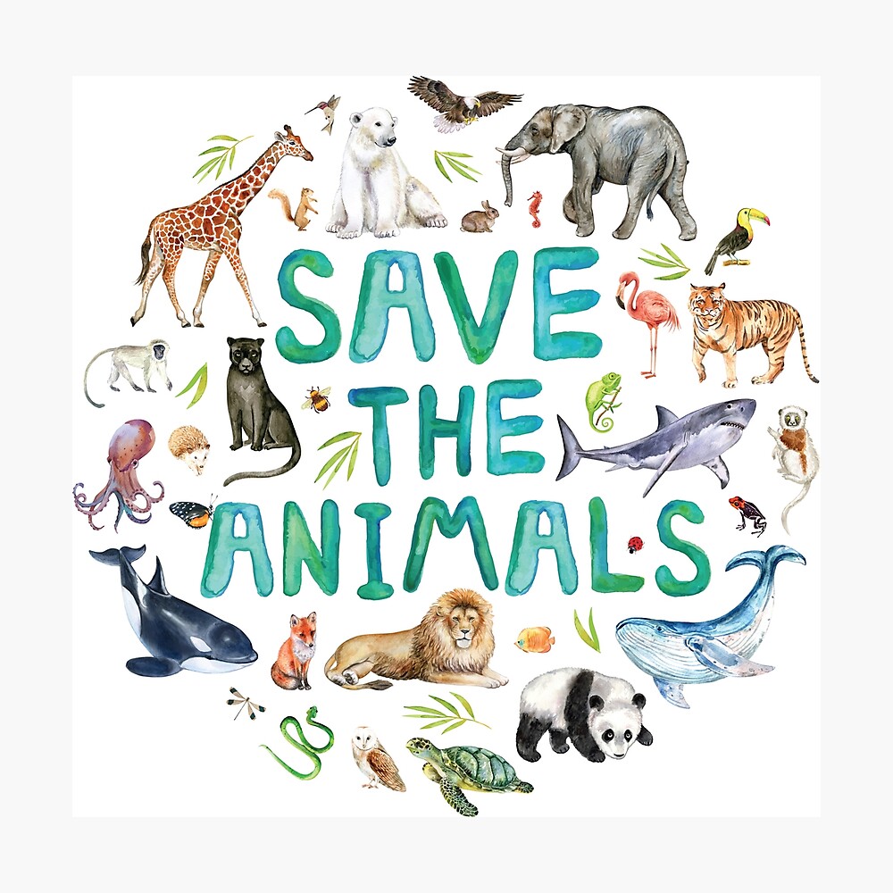 _Manan_Dadhich_'s tweet photo. #Save_animalsFrom_speed
@peta @PetaIndia 
#saveanimals https://t.co/QEH47rijzR