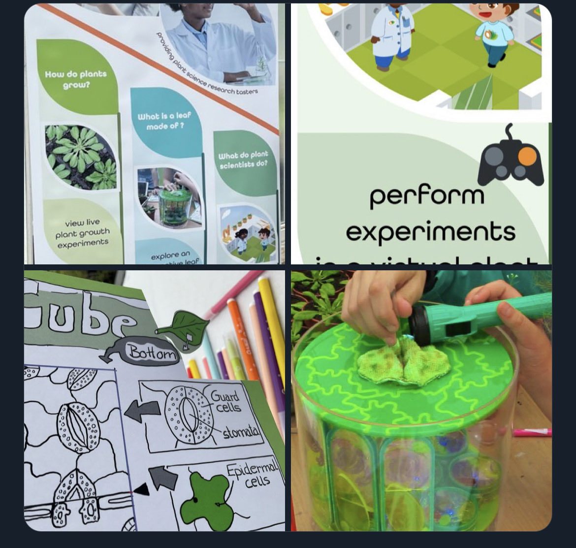 SciSeedlets's tweet photo. It’s a lovely day today for #summerscience @royalsociety ! Visit @SciSeedlets workshop and find out about #plantsci research with @KarnikLab @PlantphysE labs @UofGlasgow ! engaging interactive #games @KarnikLab_SCCLU @SCC_Lancaster and learn 🌱facts using art with @morenorse https://t.co/iFawMxvA52