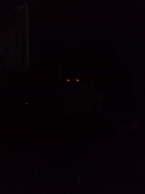 I'm friends with my demons. https://t.co/0SFJVSIoO9<a href="/tag/newprofilepic"class="tags"><span>#newprofilepic</span></a>