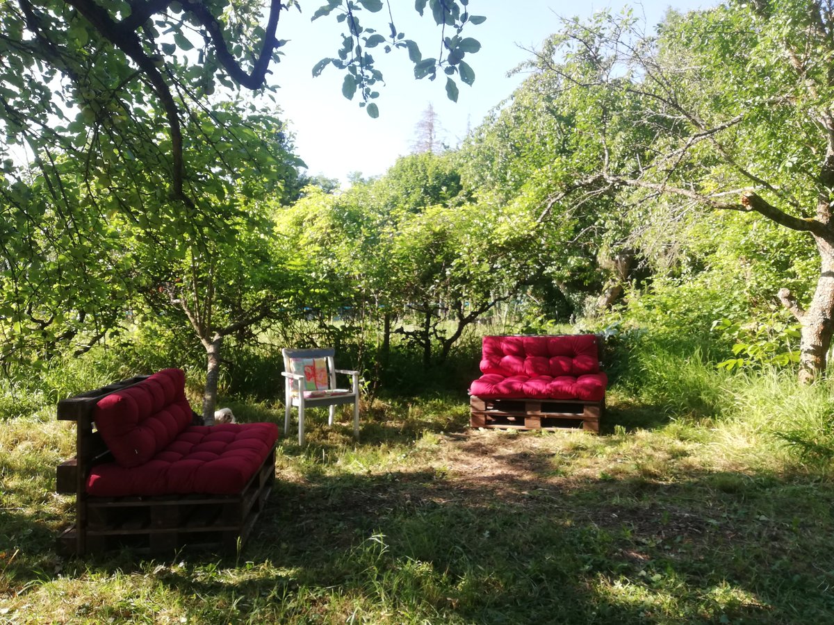taagtraumerin's tweet photo. Mein wilder Wunschgarten wird gemütlich 😍 https://t.co/cD9cXKqhLl
