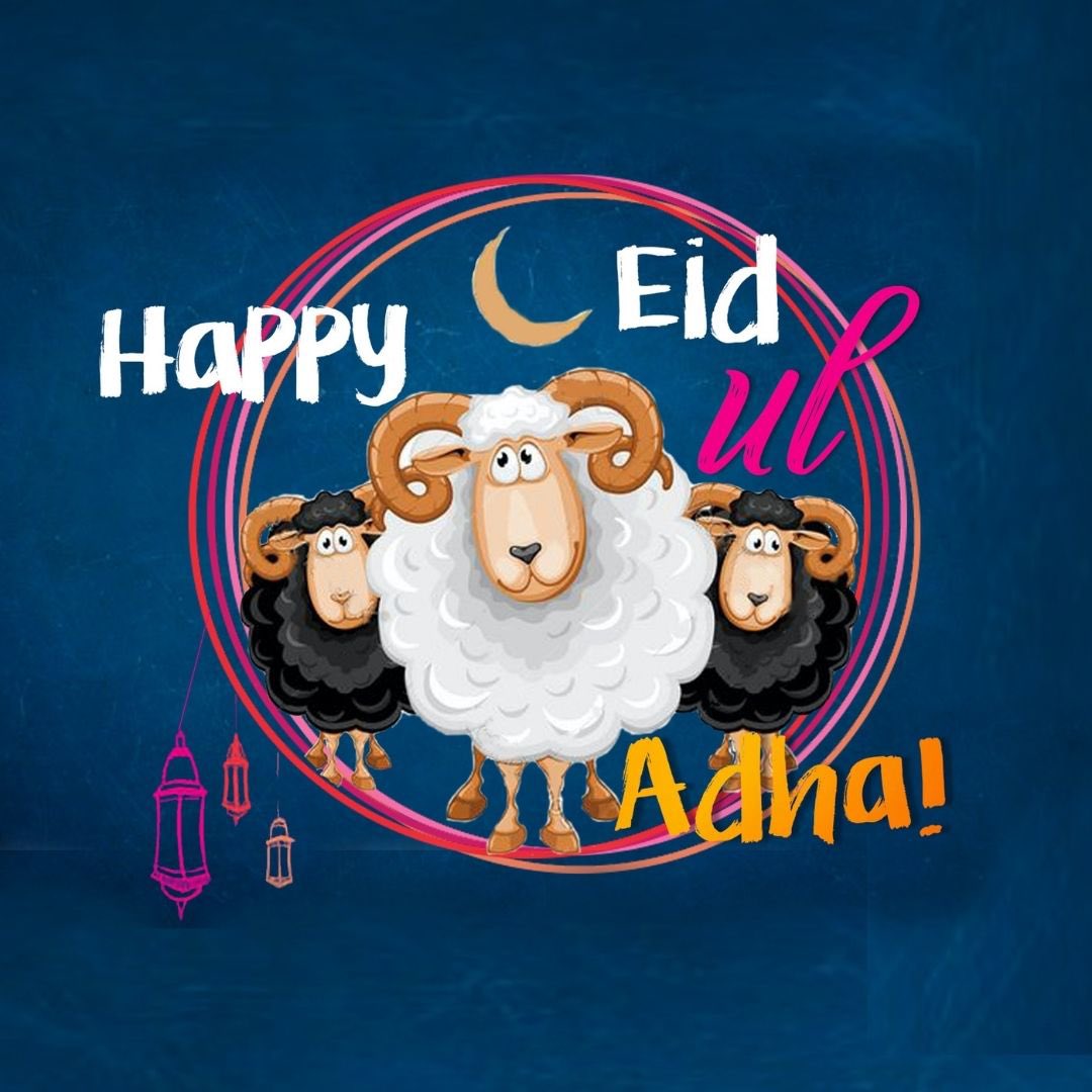 Walesschool's tweet photo. Eid Adha Mubarak #EidAlAdha
#EidAdhaMubarak #walesschool https://t.co/WsFvbPSwmV