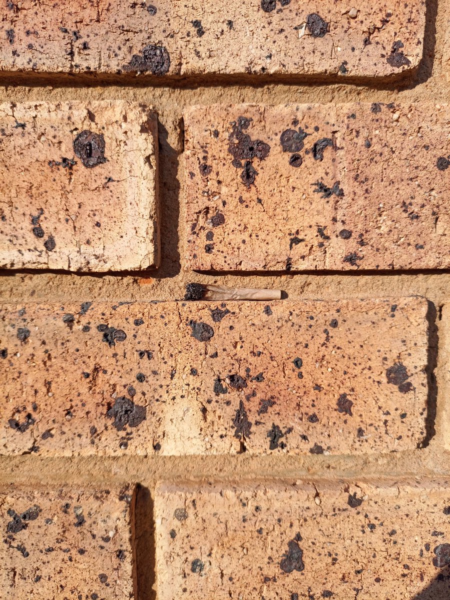 Lerato_MagD's tweet photo. High me knows I left a decent roach somewhere on the wall when I got distracted while wake and baking, not high me asking the wall for my joint back as it had perfectly camouflaged into the wall 😭😩 for over 5 minutes, even retraced my steps 😅😂 https://t.co/zeLNm6RFxP