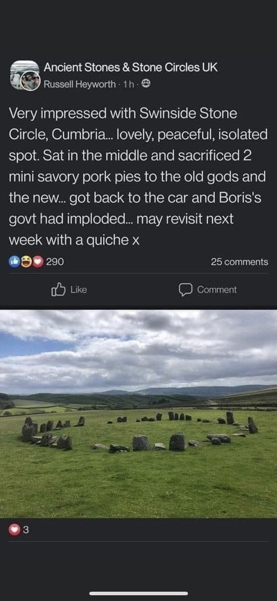 Helen McCook tweet media