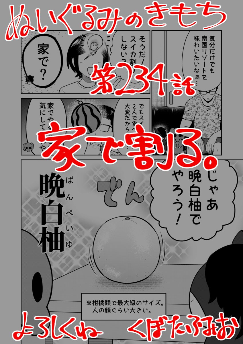 【宣伝】リイドカフェにて「ぬいぐるみのきもち」234話が公開されました🍉
海🏖️を感じるために…自宅でスイカ割り⁉️
あれ…ラビラビちゃん🐇はどこ❓🤔
よろしくお願いします🐘🐎 単行本2巻発売中🤲
https://t.co/fxlEm6bQqM
#ぬいぐるみのきもち #ぬきもち 