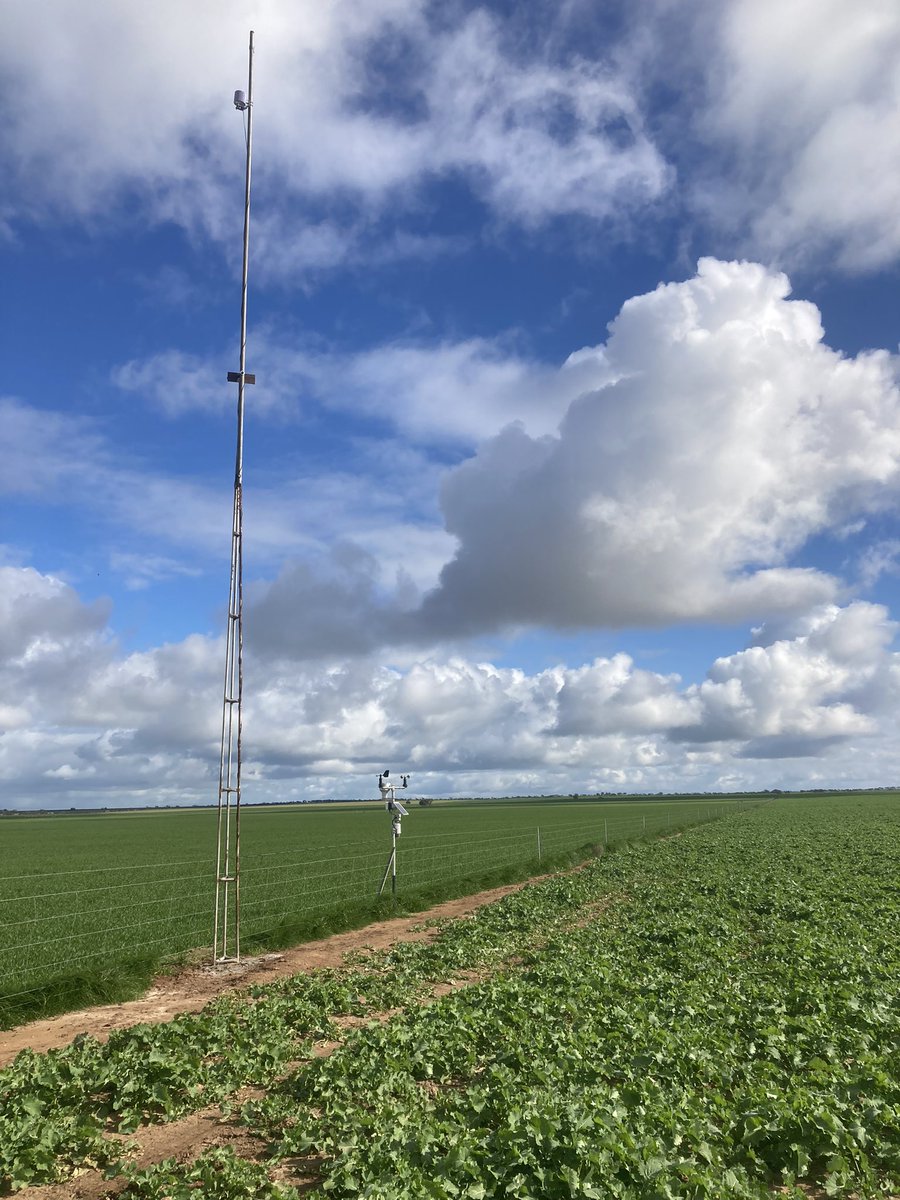 Matt Rohde tweet media