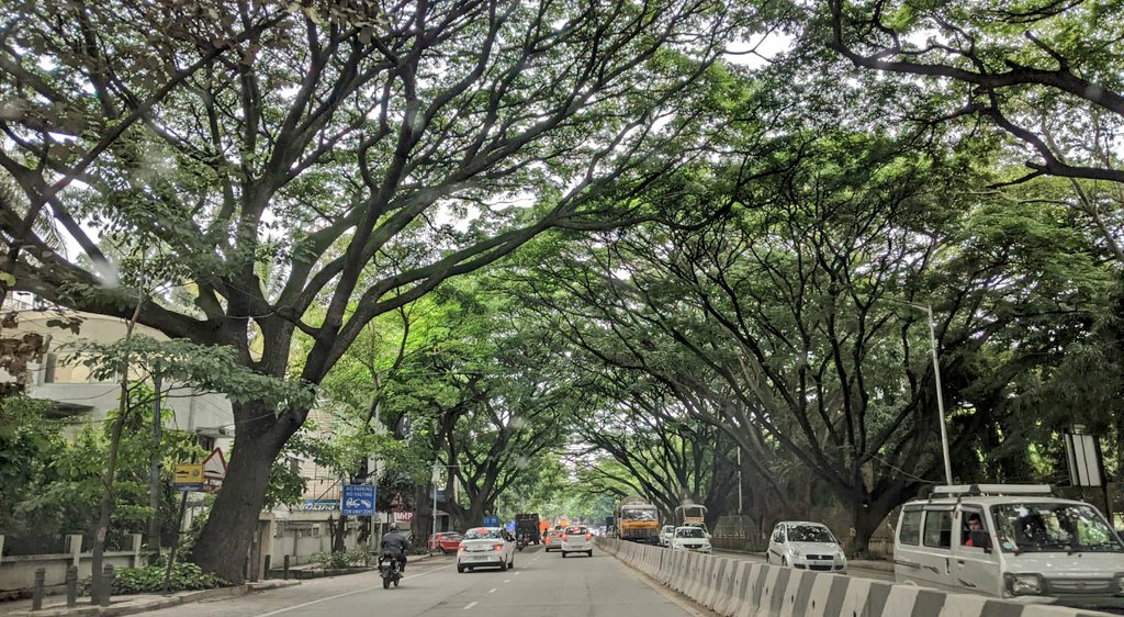 Varun Ramesh tweet media