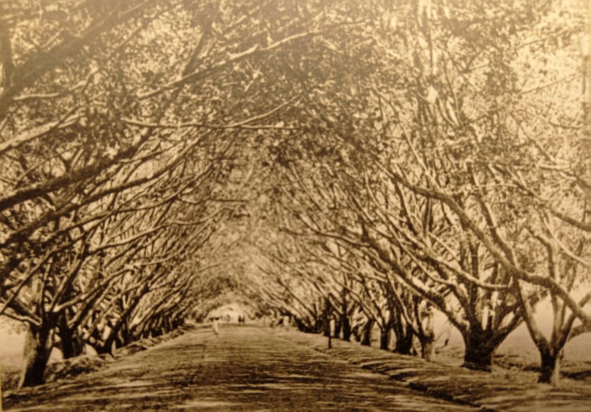 IndiaHistorypic's tweet photo. 1915 :: Ganeshkhind Road , Pune https://t.co/NQ5KvmWGEJ