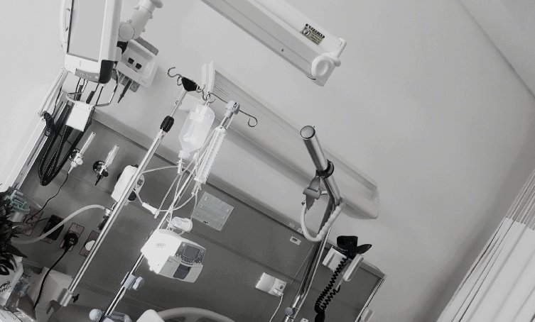 Salwa🇰🇼 tweet media