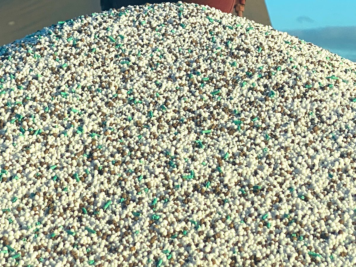 Alex Gill tweet media