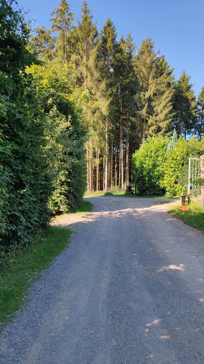 1909x1989's tweet image. @pastewka wurde sagen: "Das muss die scheiß Eifel sein!"
Die #Greifvogelstation mit #Wildfreigehege in #Hellenthal ist allerdings sehr toll!