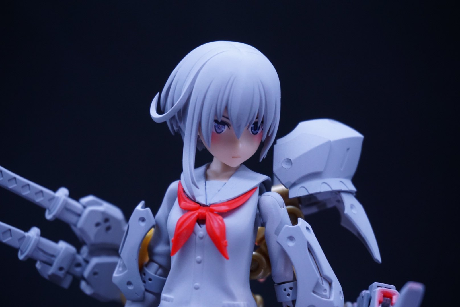 売り尽 美プラいろいろセット immedya.com