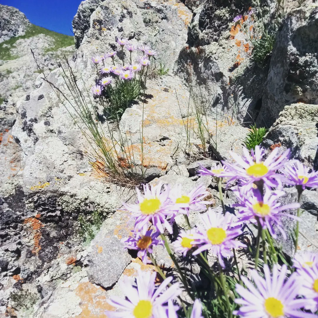 🇹🇷#Hayırlıbayramlar🇹🇷