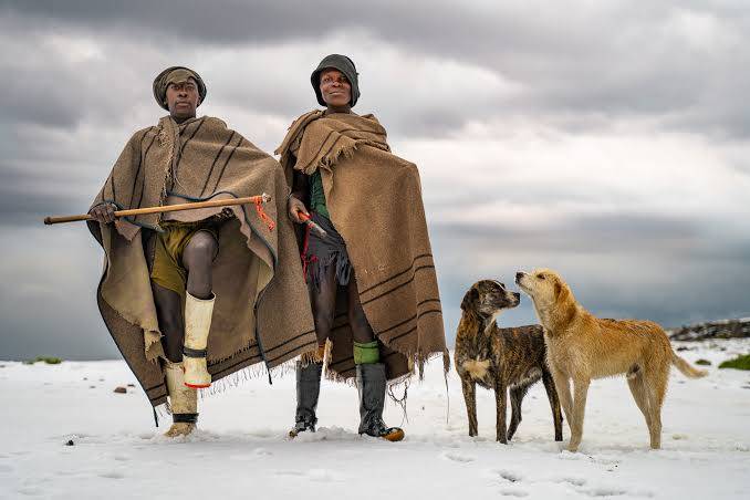 AfricaViewFacts's tweet photo. Basotho herdsmen on a snowy day in Lesotho 🇱🇸 https://t.co/oeAK3zo1NK